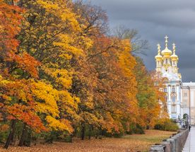 Выходные в Петербурге: Царское село. Эрмитаж