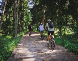 Велопрогулка в Национальном парке Куршская коса