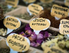 Пряные да медовые тайны Мещёры