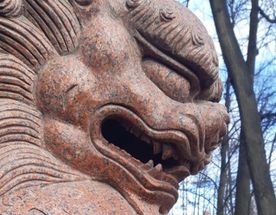 Японская осень в Петербурге