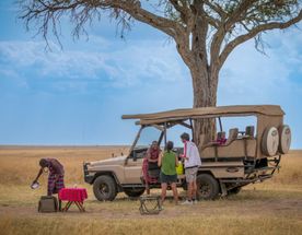 3-Day Masai Mara Exclusive Flying Safari
