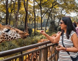 Full-Day Nairobi Wildlife Group Tour: Park, Elephant Orphanage & Giraffe Centre