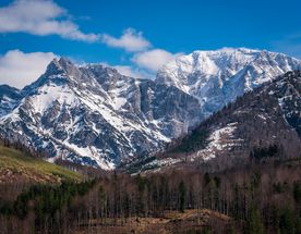 7-Day Rwenzori Mountains Climbing Adventure – Central Circuit Route