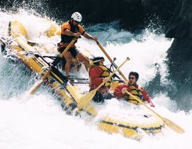 8-Day Rafting, Rhinos, Gorillas & Wildlife Safari in Uganda