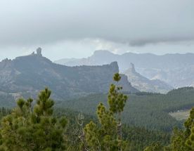 7 лиц острова Гран Канария