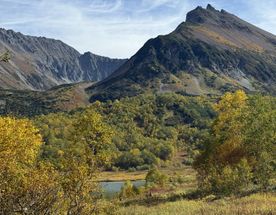 Авторский тур по Камчатке, все включено
