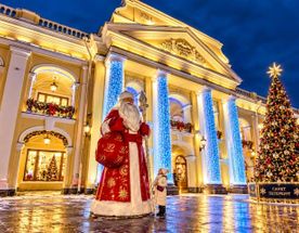 Встреча Нового Года в Санкт-Петербурге! Новогодний тур из Москвы