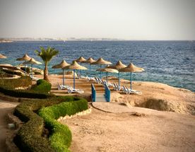 Новогодний тренировочный тур в Египет