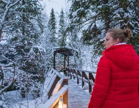 Уютный Кольский: загородный отель + пейзажи Териберки и Мурманска