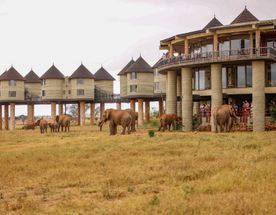 Taita Hills & Tsavo Safari