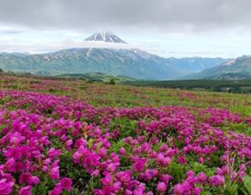 Вулканы Камчатки