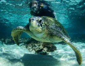 5 дней открытия дикой природы Галапагосских островов (2 необитаемых острова)