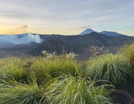 Индонезия: большое путешествие. Острова Бали, Ява, Комодо