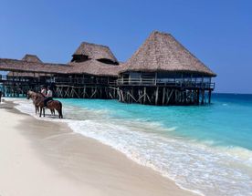 Занзибар: Приключения в Раю