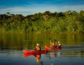 Amazon Adventure in Yasuní – 8 Days
