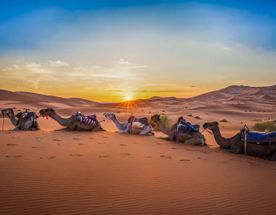 Desert Dreams & Imperial Cities: 8 Days Across Morocco