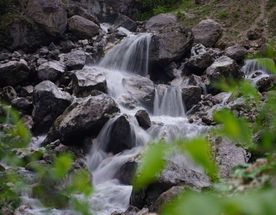 Северная Осетия и Кабардино-Балкария,Ингушетия Акция