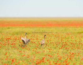 Фототур на Северный Тянь-Шань. Семиречье - жемчужина Казахстана.