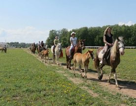 Конная прогулка в Подмосковье
