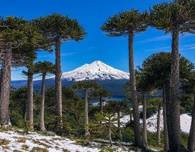 Аргенчили. Лучшее путешествие по Северной и Южной Патагонии