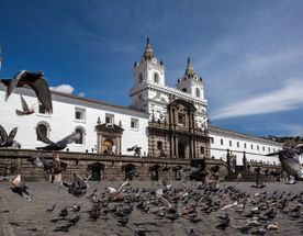 12 дней от Анд до побережья: разнообразные деликатесы Эквадора