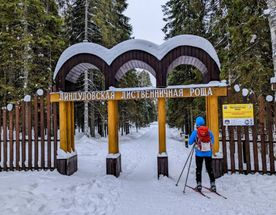 Лыжная прогулка по Линдуловской роще. Однодневный выезд из Петербурга