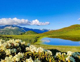 Перезагрузка в Горах Абхазии