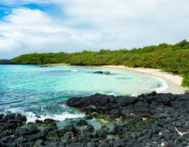 7 дней очаровательных Галапагосских островов
