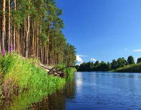 Сплав по реке Пра на байдарках (Рязанская область)