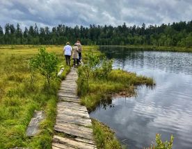 Звенигородский заказник и карьер Сима. Однодневный поход в Подмосковье
