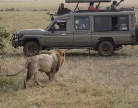 Unforgettable Safari Experiences in Maasai Mara