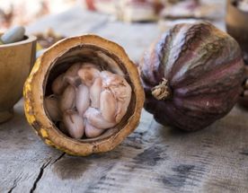 8 дней в Колумбии и Эквадоре: деликатесы какао и кофе