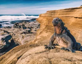 10-дневная прогулка по Галапагосским островам в Санта-Круз и Исабеле