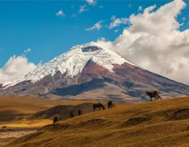 12-дневное приключение в Андах: путешествие по иконам и скрытым сокровищам Эквадора