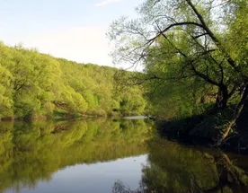Сплав по реке Осётр на байдарках (два дня)