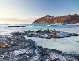 5 Увлекательный тур по Галапагосским островам