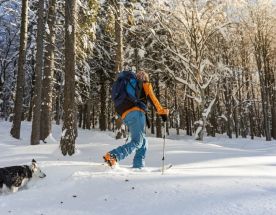 Сестрорецкое болото на лыжах. Однодневный выезд из Петербурга