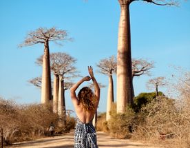 Мадагаскар + Маврикий