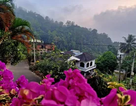 Остров гармонии