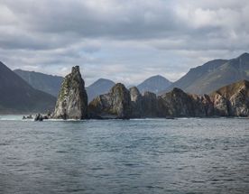 Быстрая камчатка