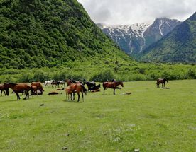 Загадки кавказских ущелий (Осетия - Ингушетия) - 6 дн/5н