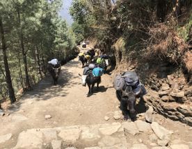 Автотур в магический Непал (без рюкзаков)