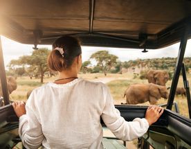 3-дневное сафари в Серенгети и кратере Нгоронгоро в Симбе