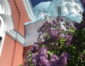 Всё лучшее в Карелии 