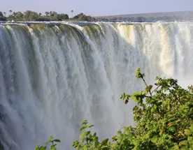 Намибия + Ботсвана + Зимбабве + Замбия