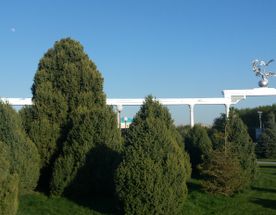 В Узбекистан с комфортом и друзьями!