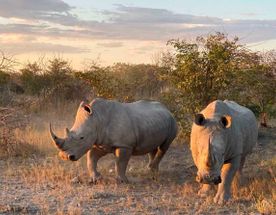 Экспресс-тур с личным гидом