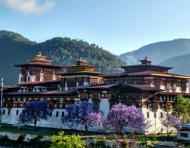 Тсечу - фестиваль в Бутане