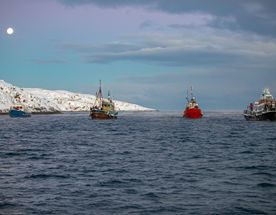 В Териберку за Северным Сиянием и Китами.