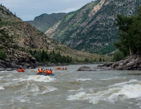 Сплав по средней Катуни